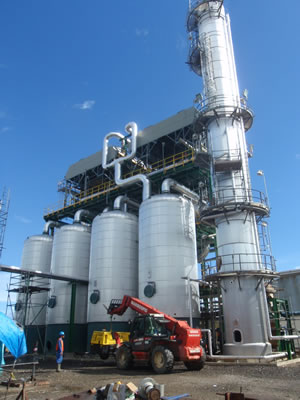 Ethelene Plant